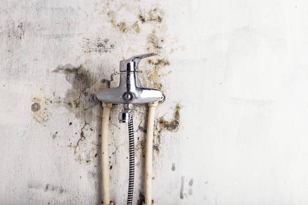 Mold Testing and Removal in Tahoe Vista, CA