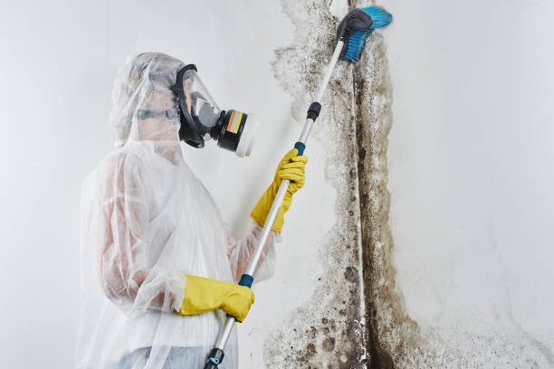 Water Damage Restoration in Tahoe Vista, CA