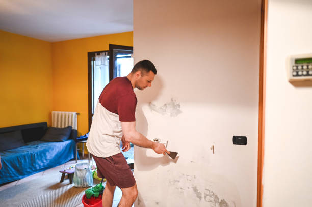 Best Mold Remediation Services  in Tahoe Vista, CA